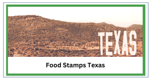 Food Stamps Texas: Your Guide To EBT and SNAP